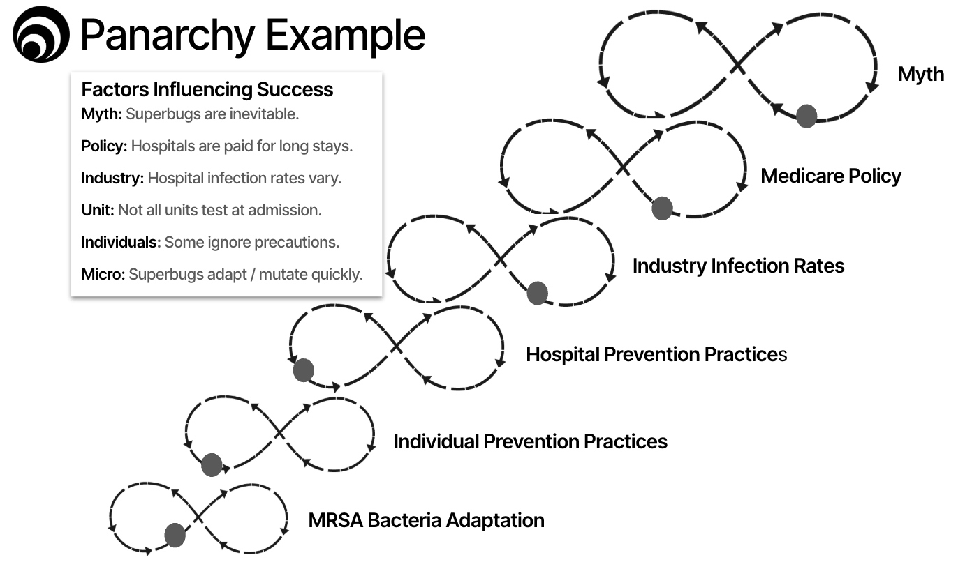 Esempio Panarchy compilato: prevenzione infezioni multisito